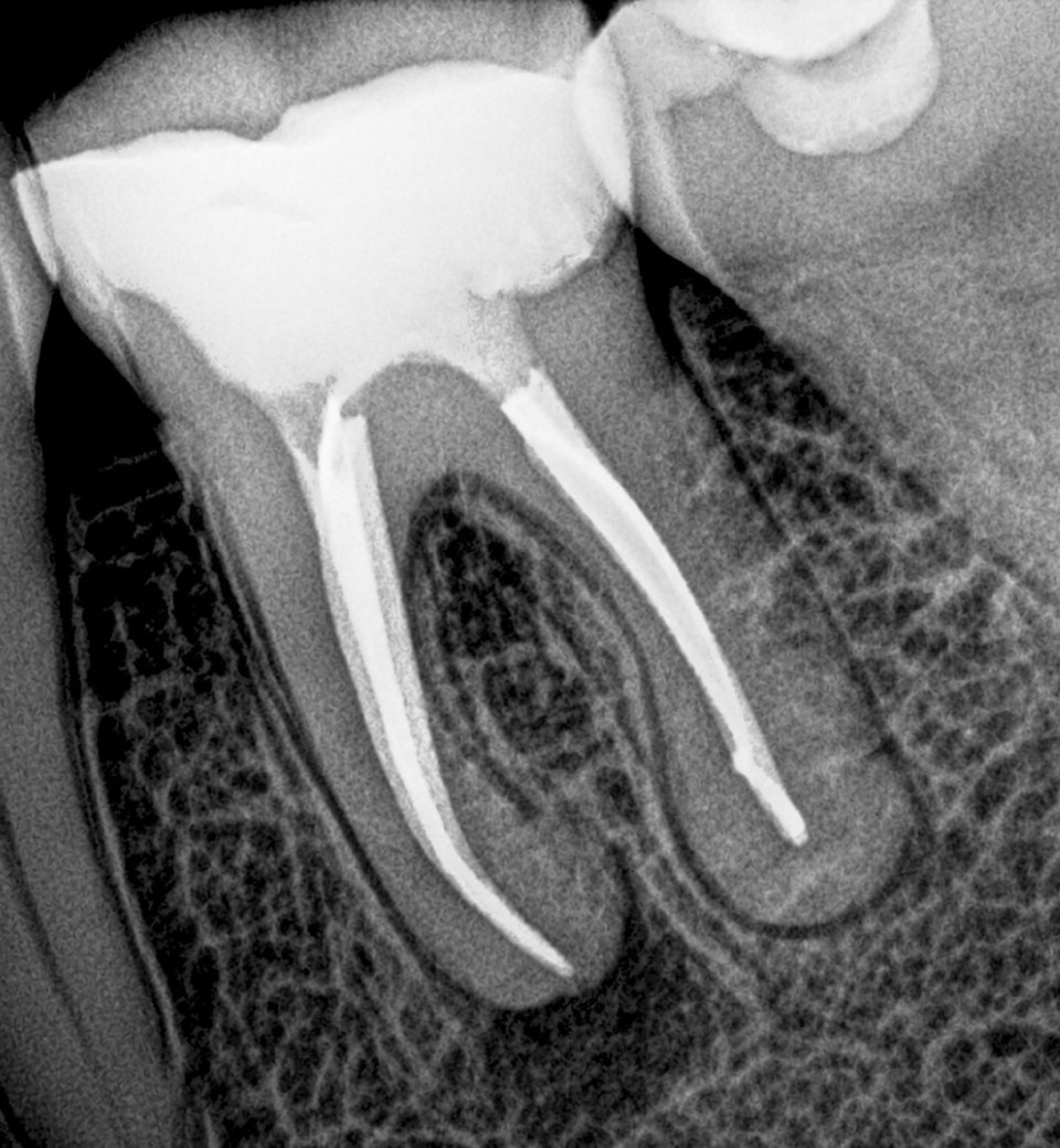 Sol Side Dental Clinic